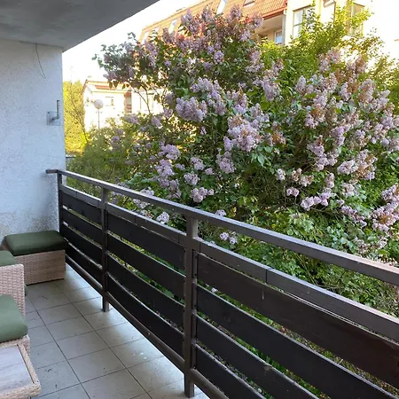 Leśne - Szary * Hel