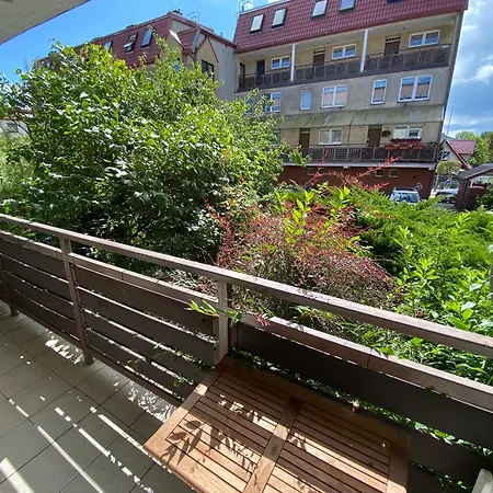 Apartament Leśne - Szary *