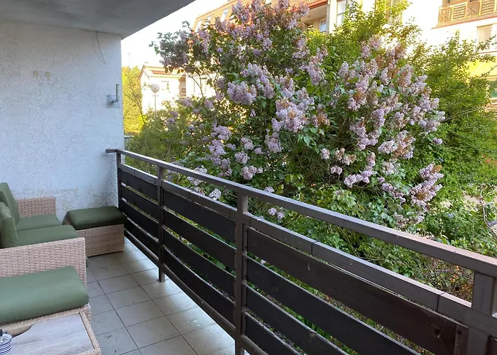 Lesne - Szary * هيل